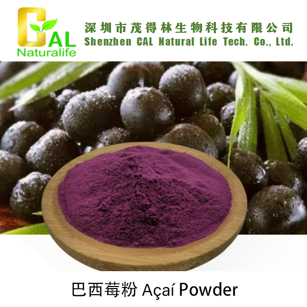 Açaí Powder (巴西莓粉)