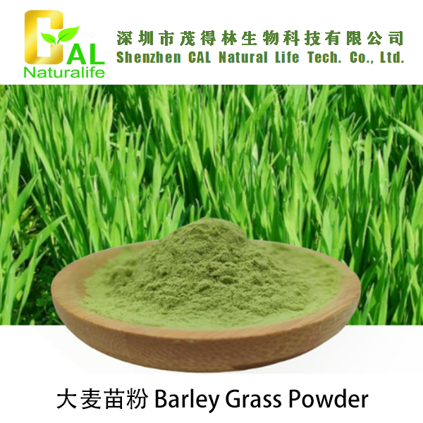 Barley Grass Powder (大麦苗粉)