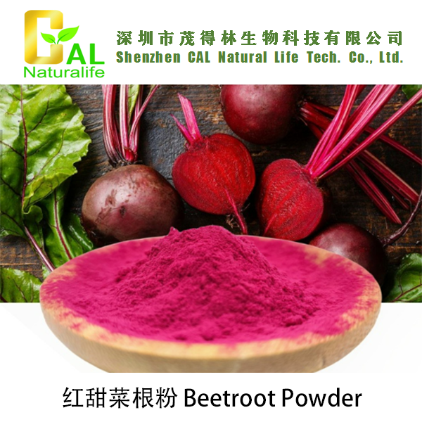 Beetroot Powder (红甜菜根粉)