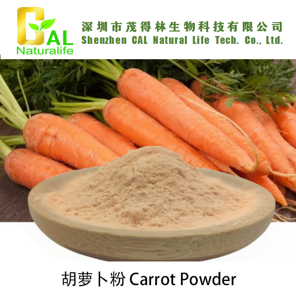 Carrot Powder (胡萝卜粉)