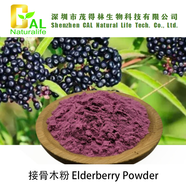 Elderberry Powder (接骨木莓粉)