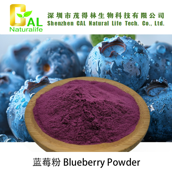 Blueberry Powder (蓝莓粉)