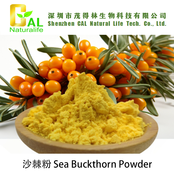 Sea Buckthorn Powder (沙棘粉)