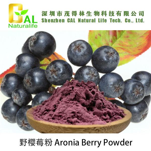 Aronia Berry Powder (黑果腺肋花揪果粉)