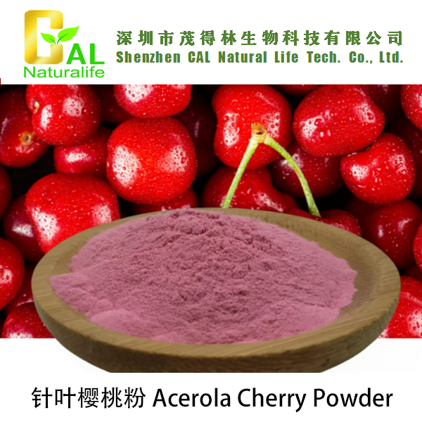 Acerola Cherry Powder (针叶樱桃粉)