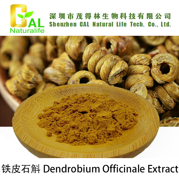 Dendrobium Officinale Extract (铁皮石斛提取物)