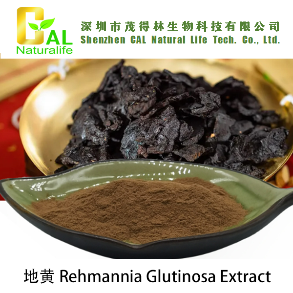 Rehmannia Glutinosa Extract (地黄提取物)