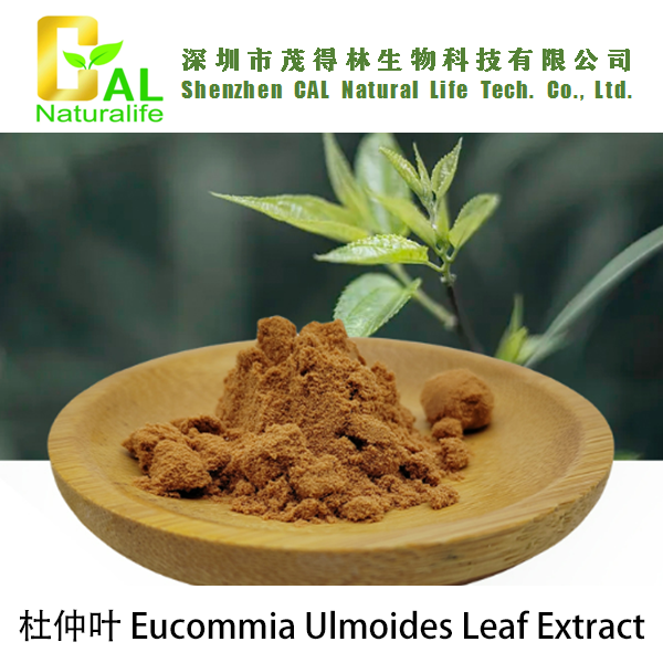 Eucommia Ulmoides Leaf Extract (杜仲叶提取物)