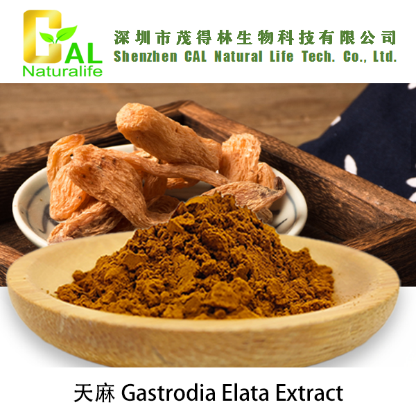 Gastrodia Elata Extract (天麻提取物)