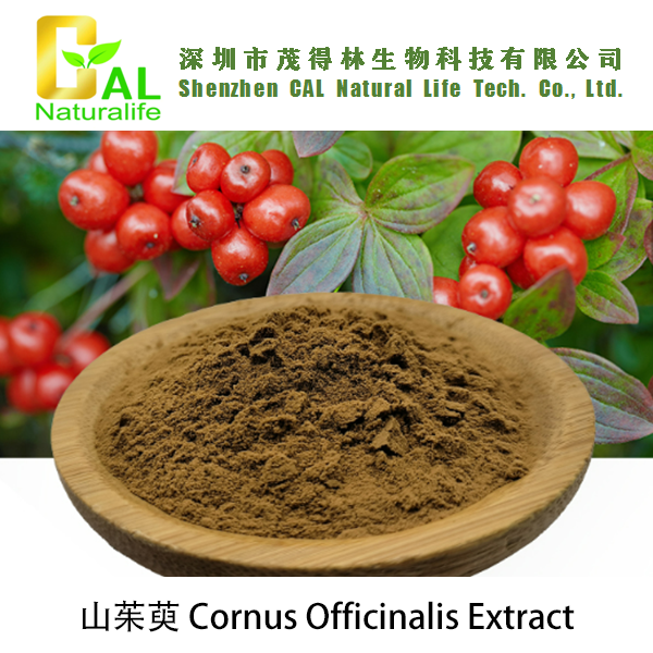 Cornus Officinalis Extract (山茱萸提取物)