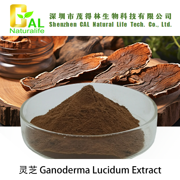 Ganoderma Lucidum Extract (灵芝提取物)