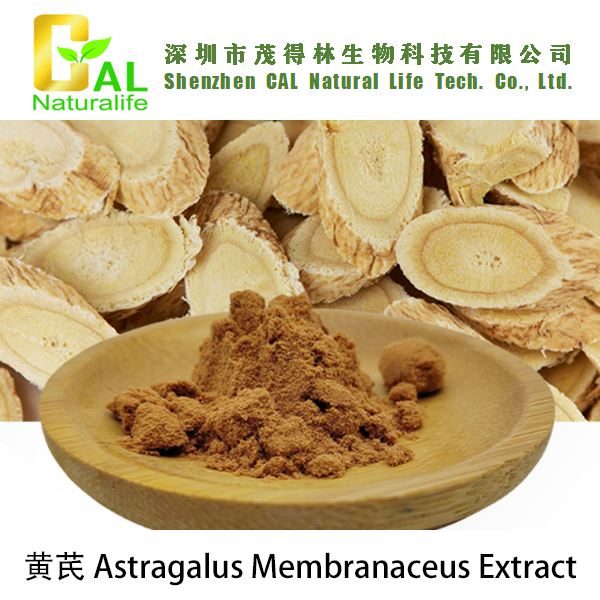 Astragalus Membranaceus Extract (黄芪提取物)