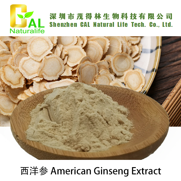 American Ginseng Extract (西洋参提取物)