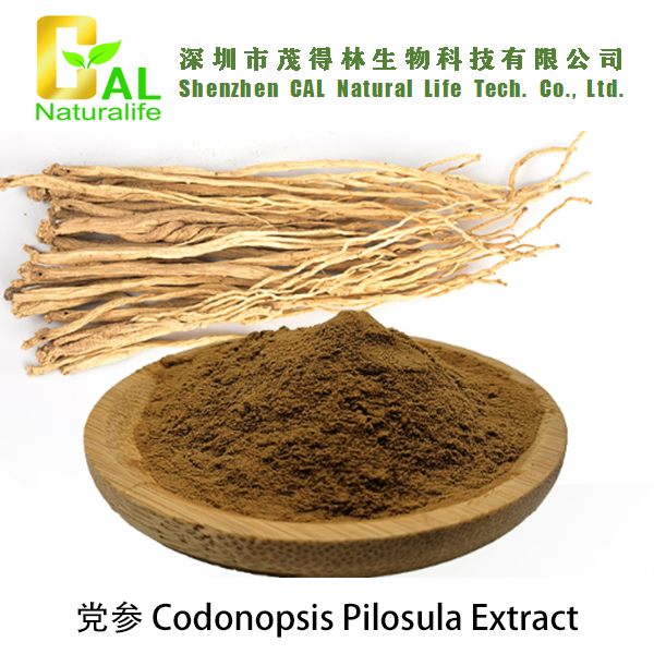 Codonopsis Pilosula Extract (党参提取物)