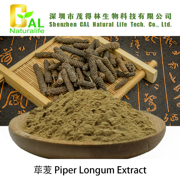 Piper Longum Extract (荜茇提取物)