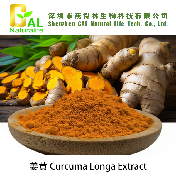 Curcuma Longa Extract (姜黄提取物)