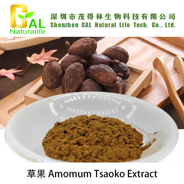Amomum Tsaoko Extract (草果提取物)