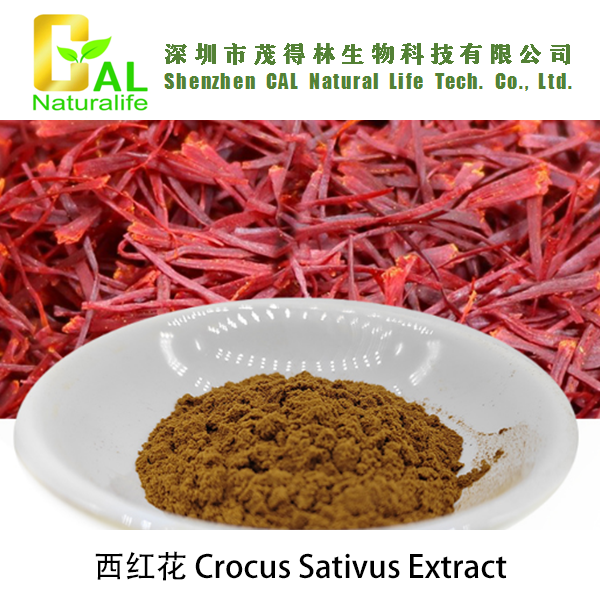Crocus Sativus Extract (西红花提取物)
