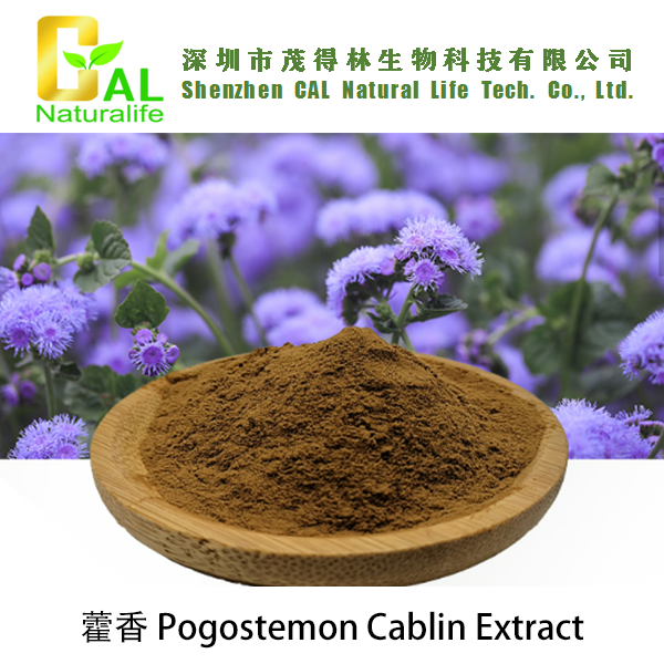 Pogostemon Cablin Extract (藿香提取物)