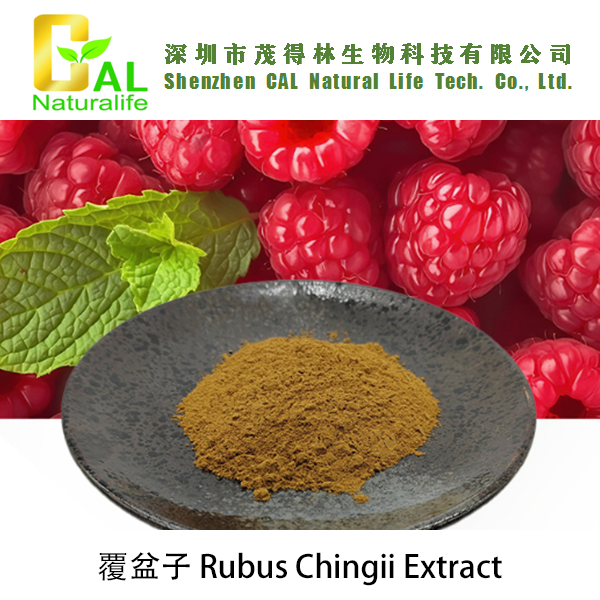 Rubus Chingii Extract (覆盆子提取物)