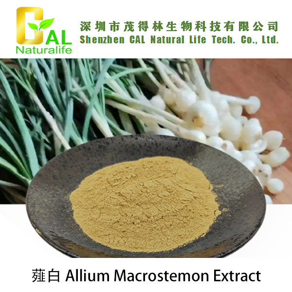 Allium Macrostemon Extract (薤白提取物)