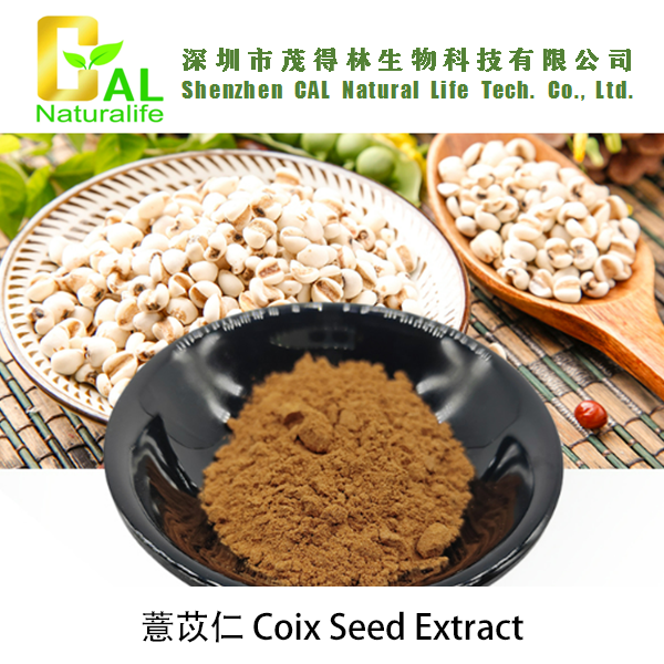 Coix Seed Extract (薏苡仁提取物)