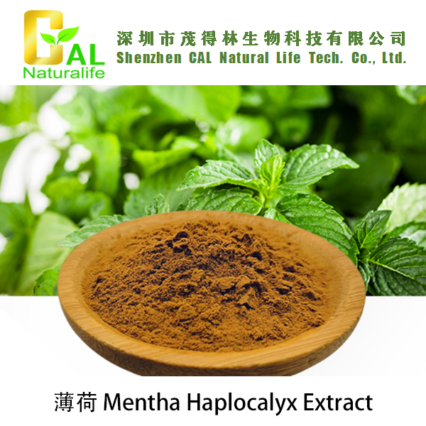 Mentha Haplocalyx Extract (薄荷提取物)