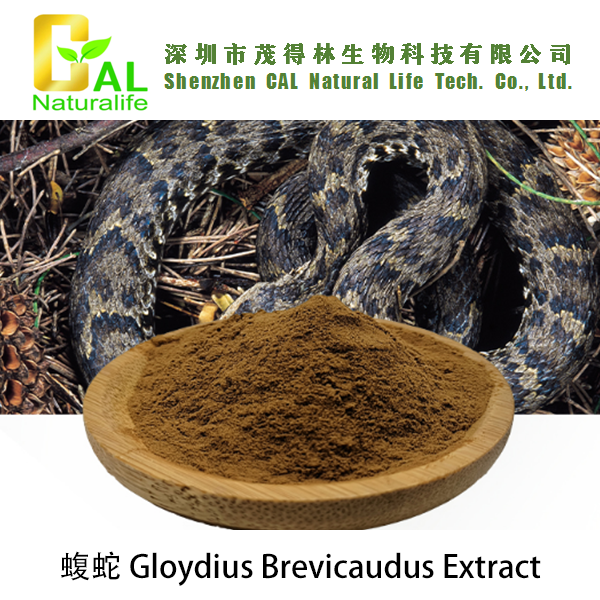 Gloydius Brevicaudus Extract (蝮蛇提取物)
