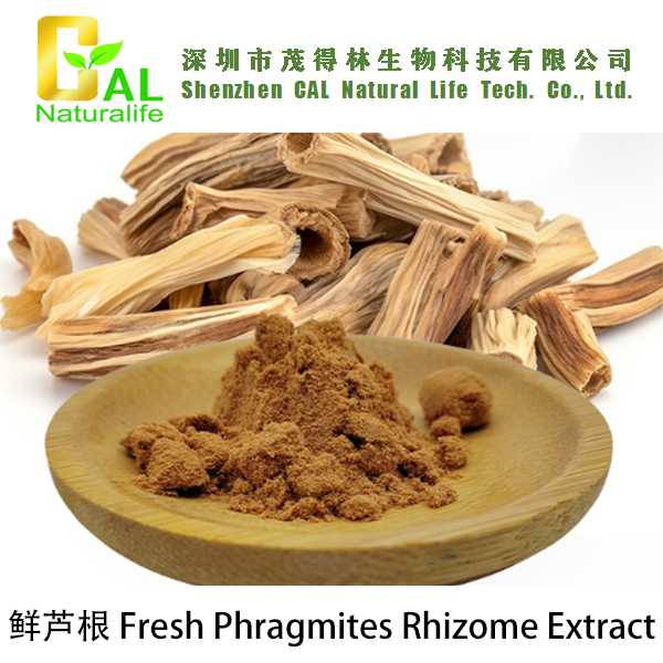 Fresh Phragmites Rhizome Extract (鲜芦根提取物)