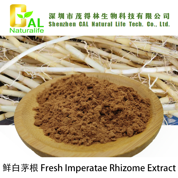 Fresh Imperatae Rhizome Extract (鲜白茅根提取物)