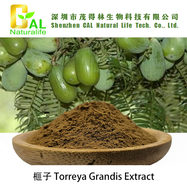 Torreya Grandis Extract (榧子提取物)