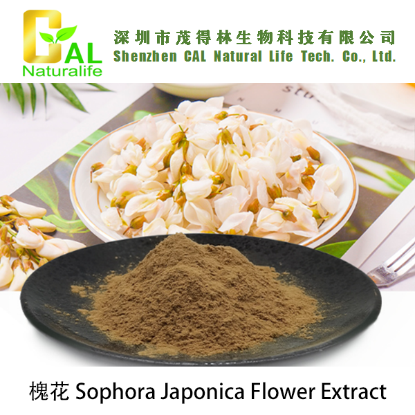 Sophora Japonica Flower Extract (槐花提取物)