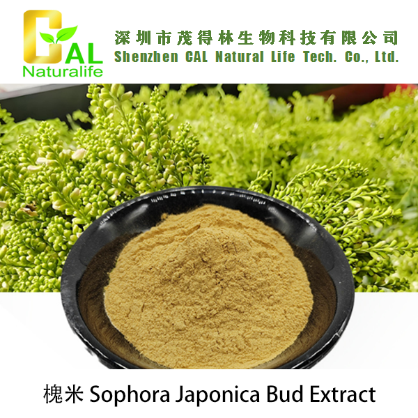 Sophora Japonica Bud Extract (槐米提取物)
