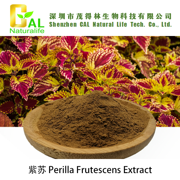 Perilla Frutescens Extract (紫苏提取物)