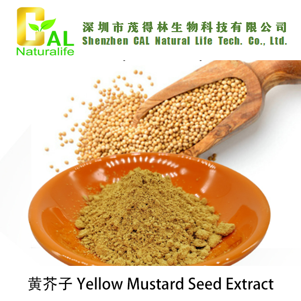 Yellow Mustard Seed Extract (黄芥子提取物)