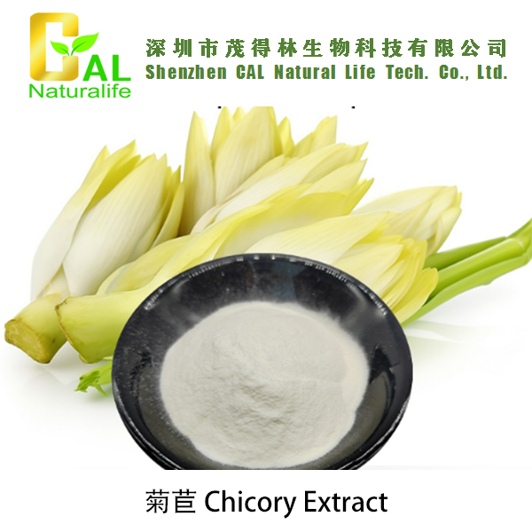 Chicory Extract (菊苣提取物)