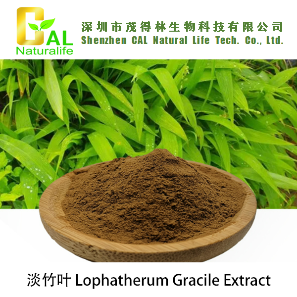 Lophatherum Gracile Extract (淡竹叶提取物)