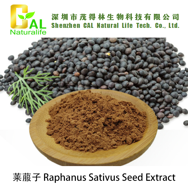Raphanus Sativus Seed Extract (莱菔子提取物)