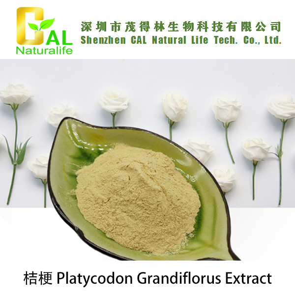 Platycodon Grandiflorus Extract (桔梗提取物)