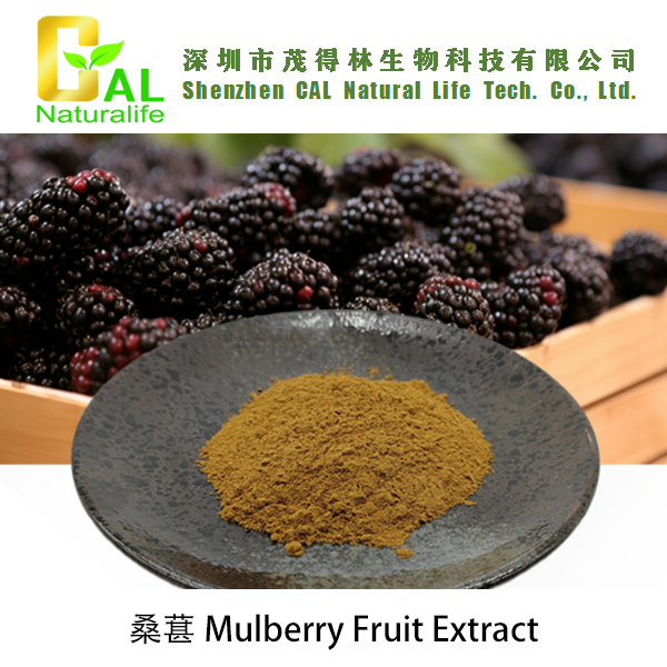Mulberry Fruit Extract (桑葚提取物)