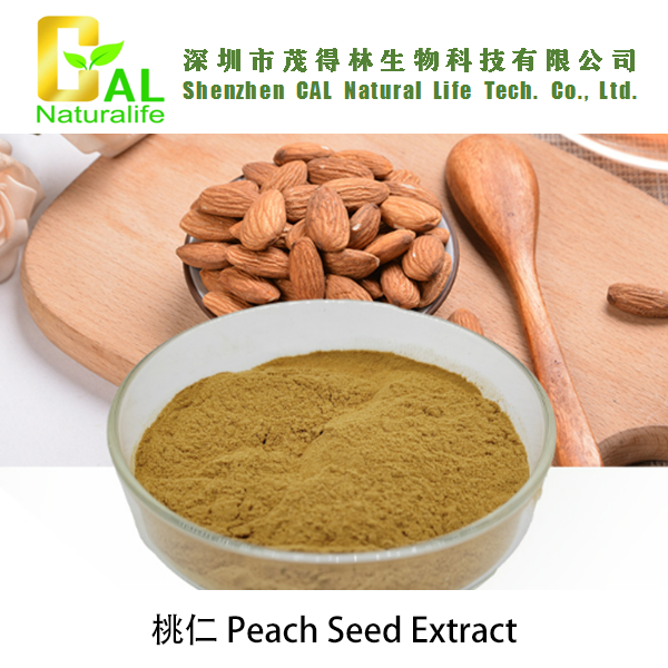 Peach Seed Extract (桃仁提取物)