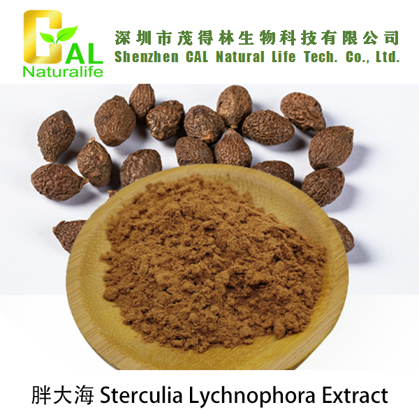 Sterculia Lychnophora Extract (胖大海提取物)