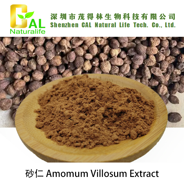 Amomum Villosum Extract (砂仁提取物)