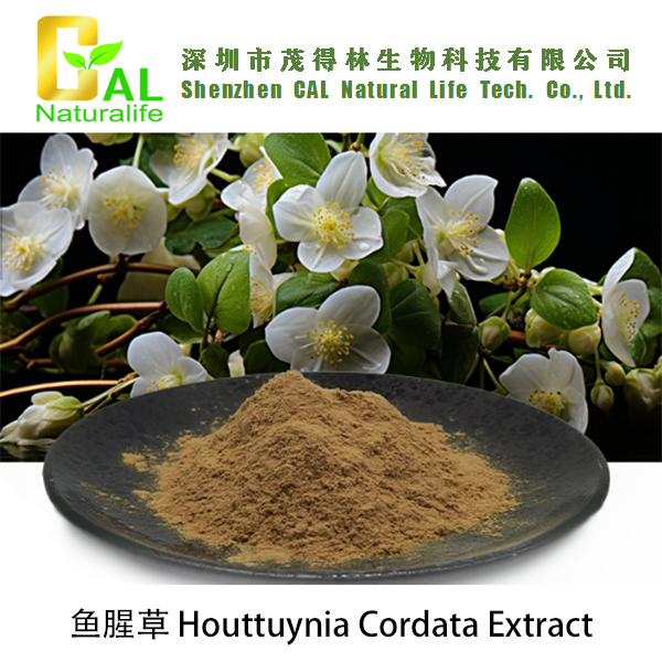 Houttuynia Cordata Extract (鱼腥草提取物)
