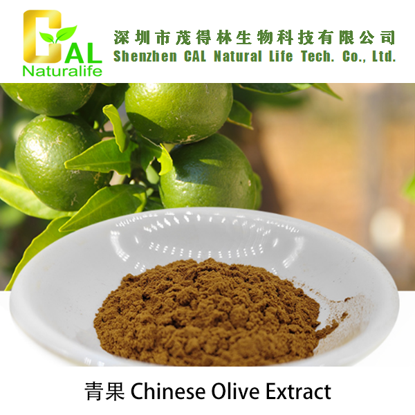 Chinese Olive Extract (青果提取物)