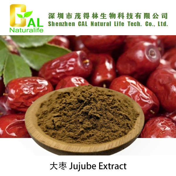 Jujube Extract (大枣提取物)