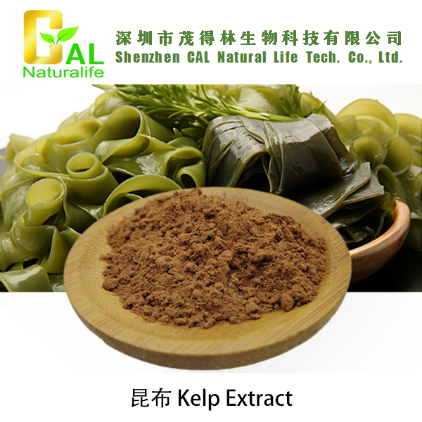 Kelp Extract (昆布提取物)