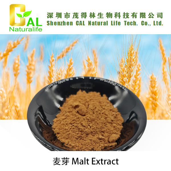 Malt Extract (麦芽提取物)
