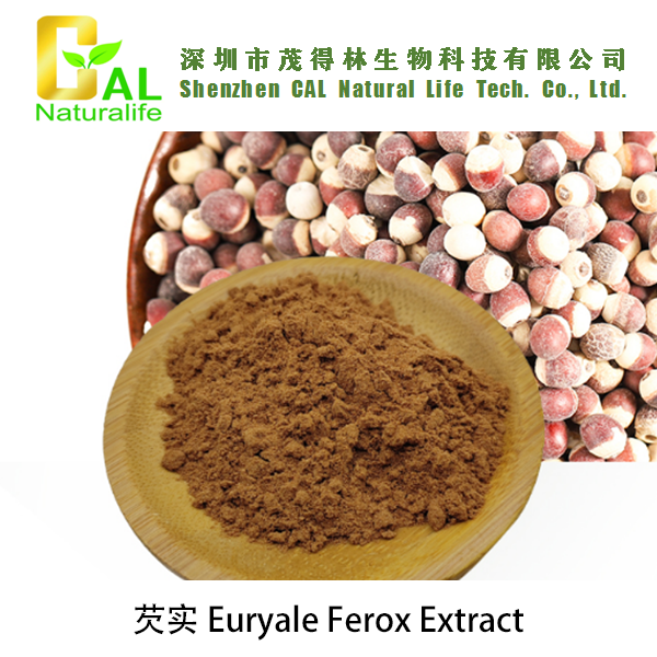 Euryale Ferox Extract (芡实提取物)