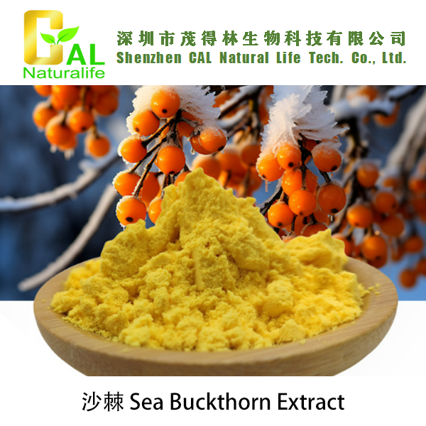 Sea Buckthorn Extract (沙棘提取物)